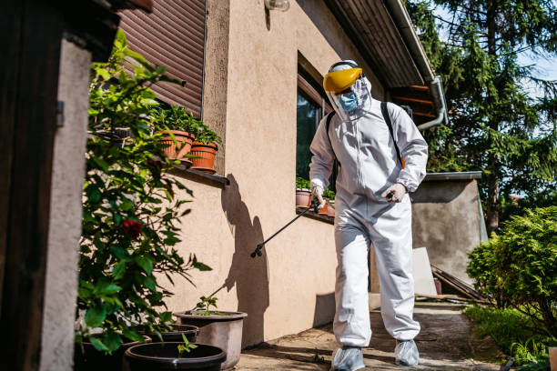 Best Rat Extermination Near Me  in Chattahoochee, FL