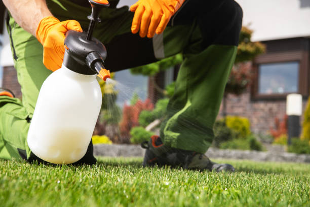 Best Wasp Removal Services  in Chattahoochee, FL