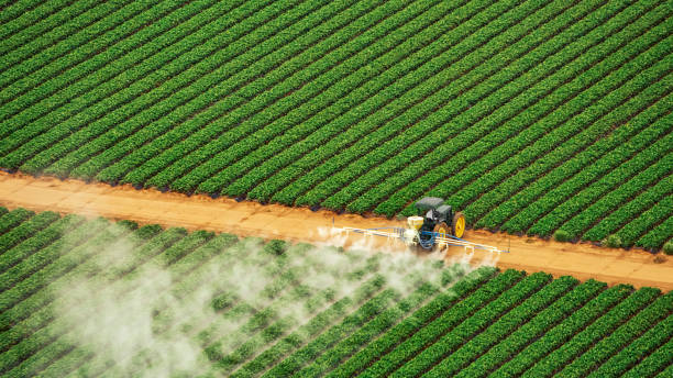 Best Commercial Pest Control Services  in Chattahoochee, FL