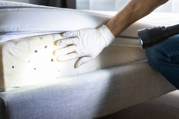 Best Best Pest Control Companies  in Chattahoochee, FL