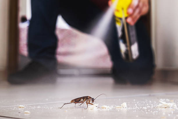 Best Emergency Pest Control  in Chattahoochee, FL
