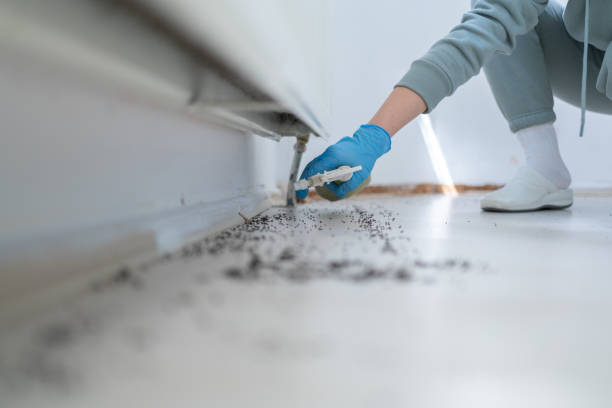 Trusted Chattahoochee, FL Pest Control Experts